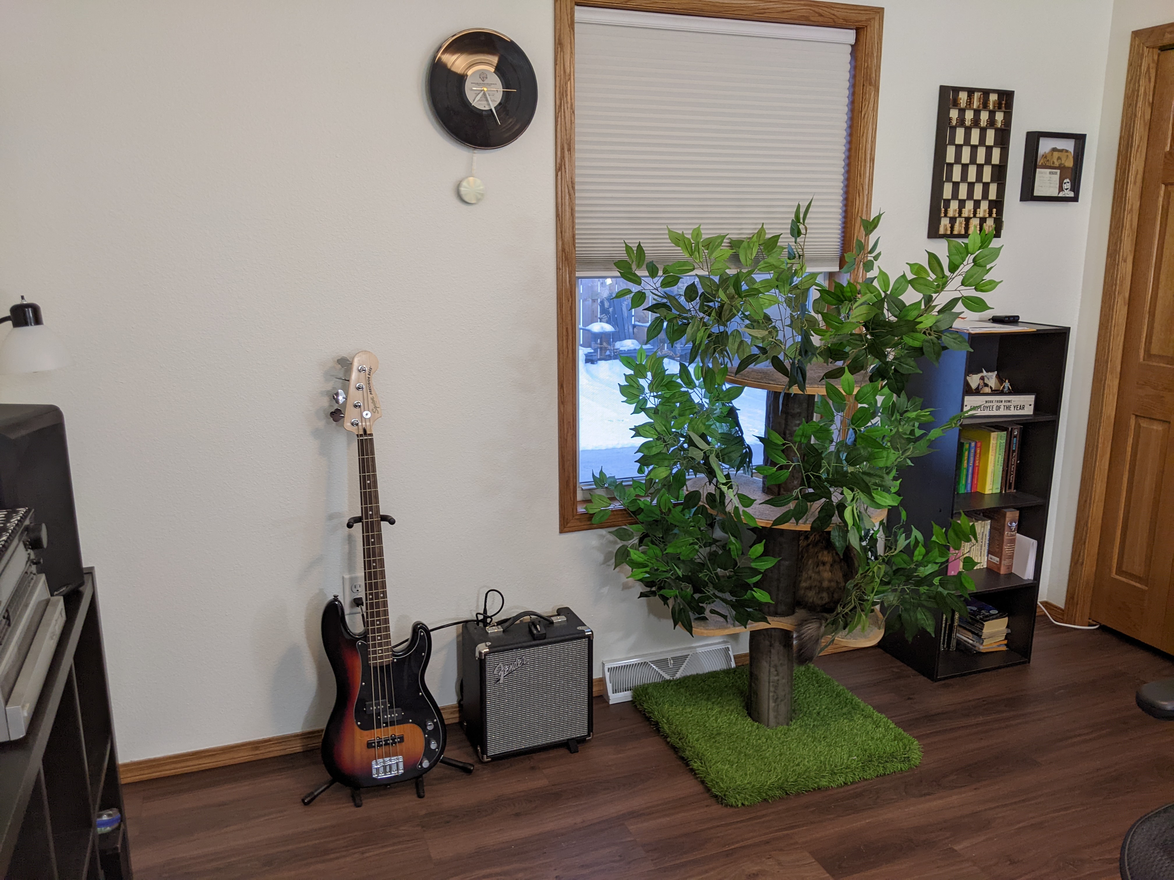 PXL_20220130_132618241